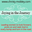 joying in the journey